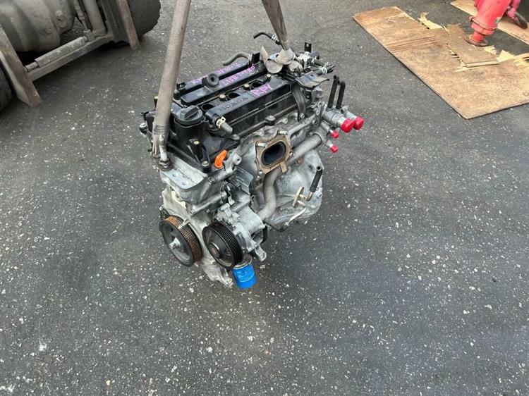 Двигатель Хонда Степвагон в Колпино 241069